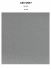 ASH GRAY plain thumbnail