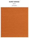BURNT ORANGE grain thumbnail