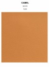 CAMEL plain thumbnail