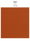 RUST grain thumbnail