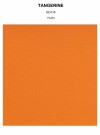 TANGERINE plain thumbnail