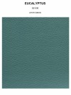 EUCALYPTUS grain thumbnail