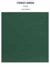 FOREST GREEN grain thumbnail