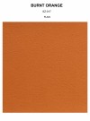 BURNT ORANGE plain thumbnail
