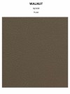 WALNUT plain thumbnail