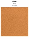 CAMEL grain thumbnail