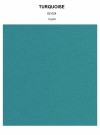 TURQUOISE plain thumbnail