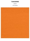 TANGERINE grain thumbnail