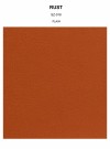 RUST plain thumbnail