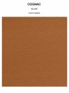 COGNAC grain thumbnail