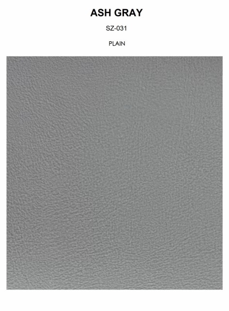 ASH GRAY plain