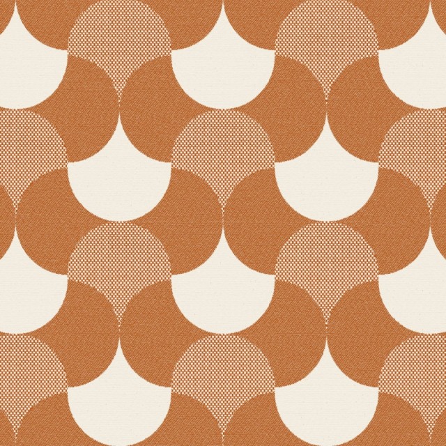Koi_48