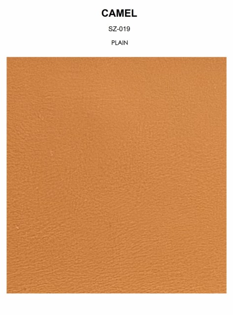 CAMEL plain